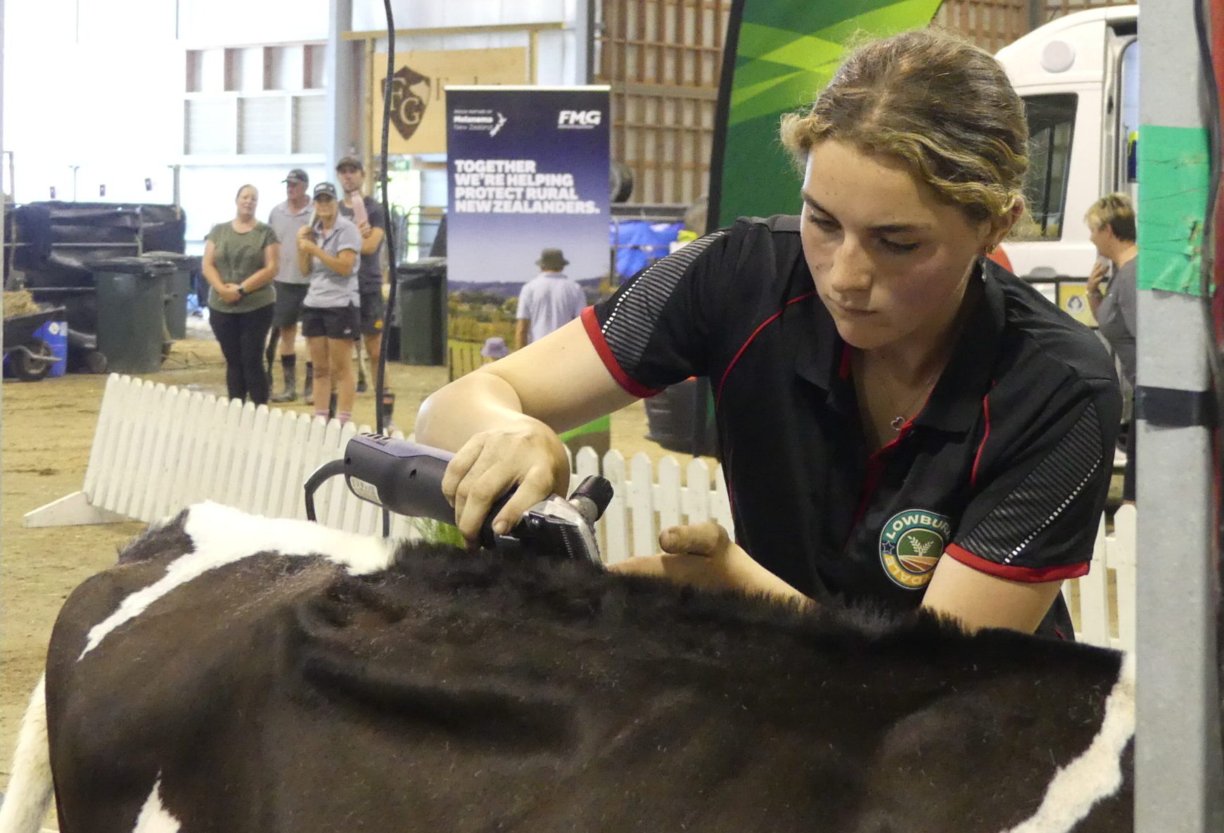 You are currently viewing Pirie Farms shines at Australasian events