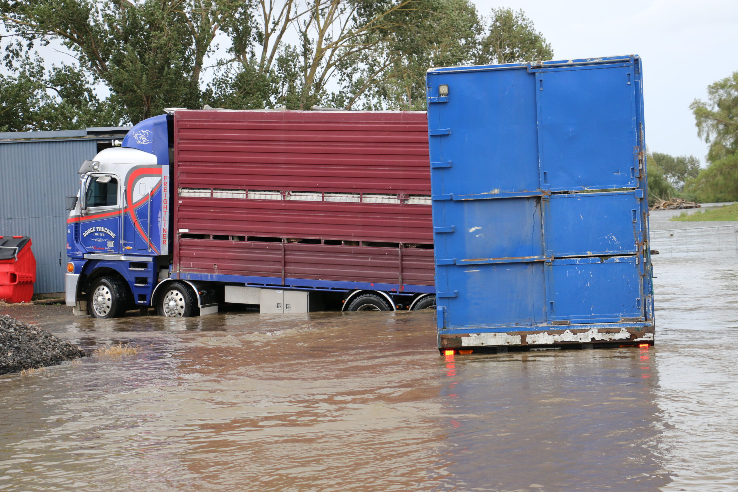 You are currently viewing Cattle rescue after deluge