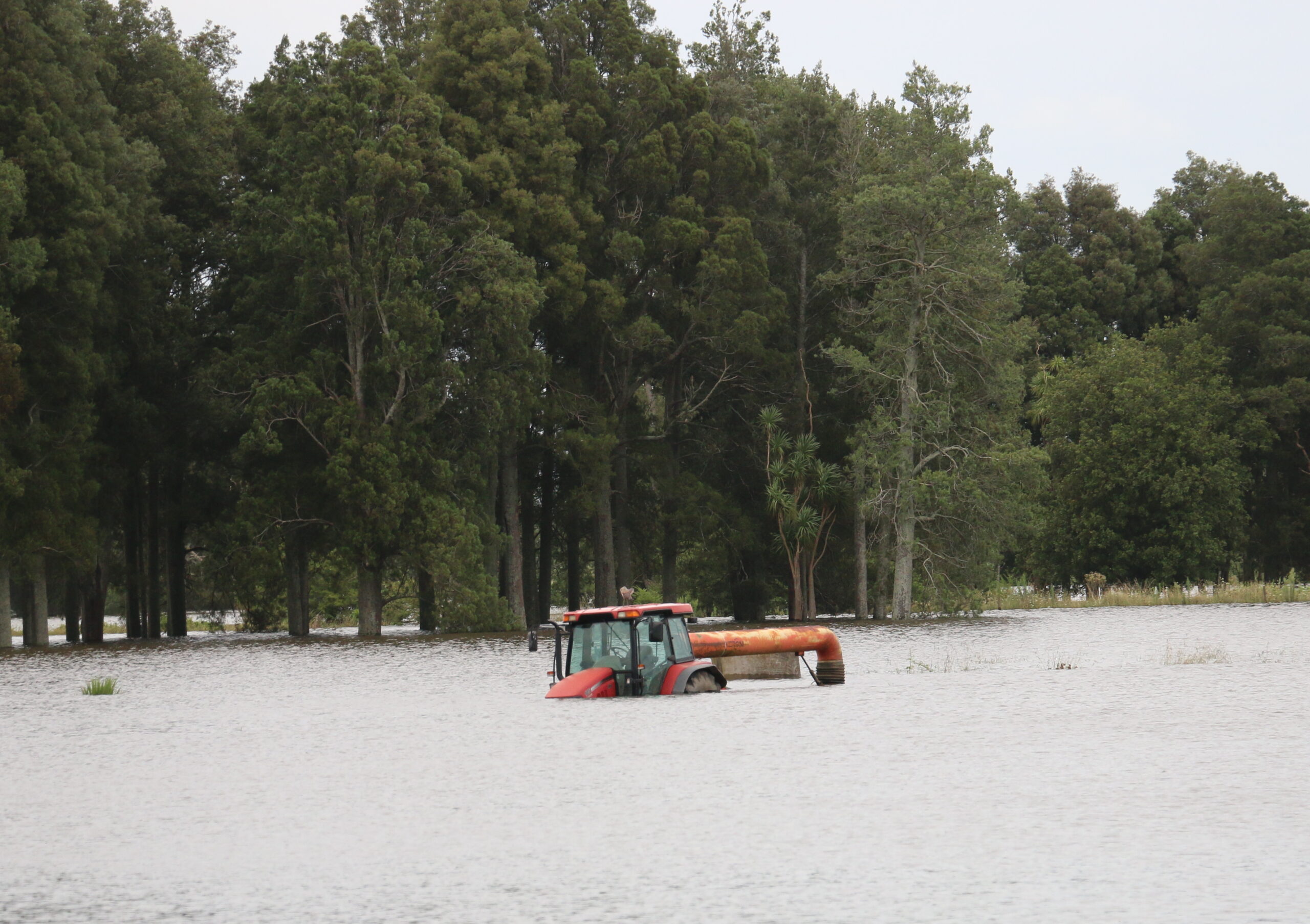 You are currently viewing Support for farmers after flooding 