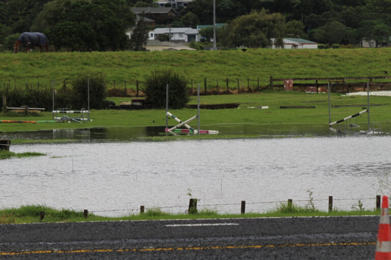 Read more about the article Horses rescued amid rising floodwaters