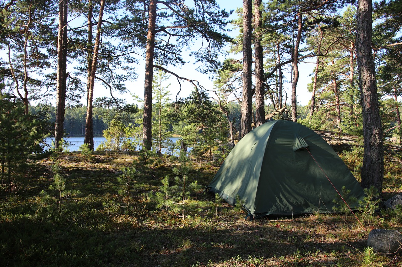 You are currently viewing Coromandel seaside campsites reopen for summer