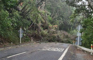 Read more about the article Thames-Coromandel ‘pummelled’ by cyclone