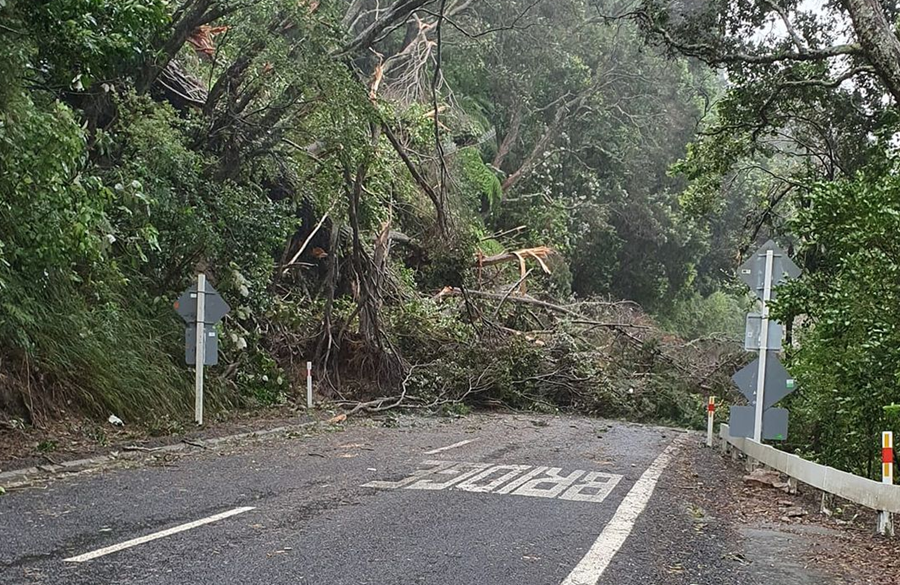 You are currently viewing Coromandel and East Waikato road updates