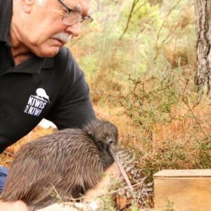 Read more about the article Kiwi mustered for return home