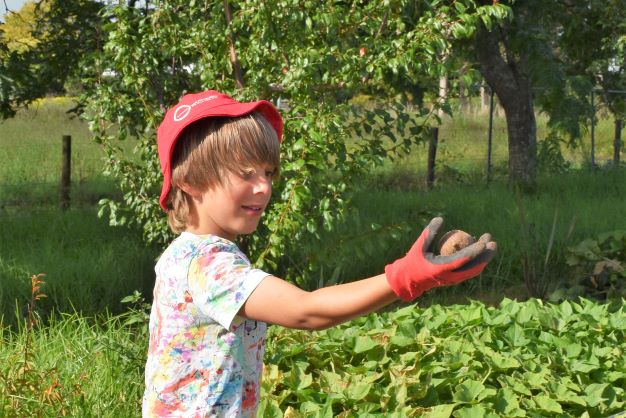 You are currently viewing Growing food grows minds at Turua School