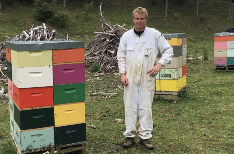Read more about the article Hive of activity at Waihī-based apiary