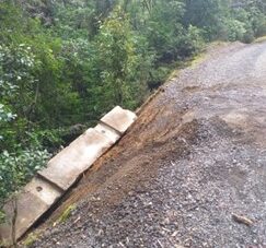 Read more about the article Vandalism on Tapu-Coroglen Rd concerning