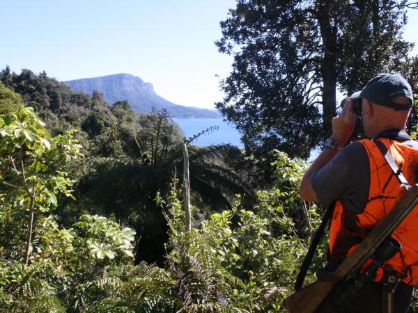 Read more about the article Focus on safety this Roar season