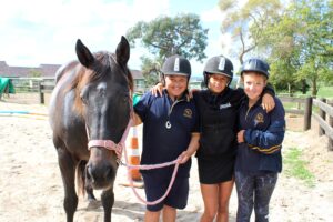 Read more about the article ‘Incredibly courageous’: school seeks help through horses