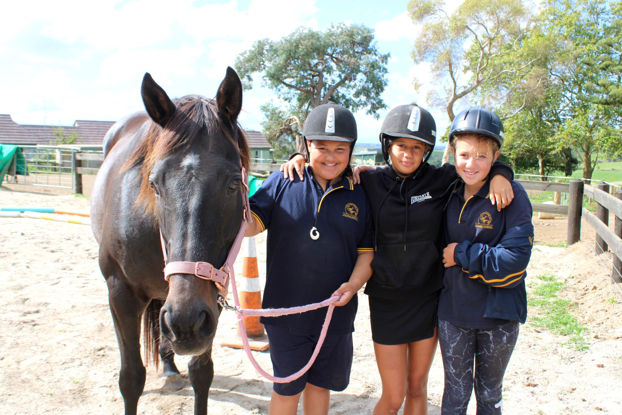 You are currently viewing ‘Incredibly courageous’: school seeks help through horses