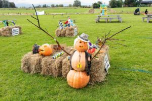 Read more about the article Pumpkin Festivities
