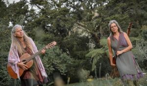 Read more about the article Hauraki entertainers set to perform