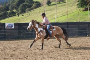 Read more about the article Hauraki riders roped in to western style