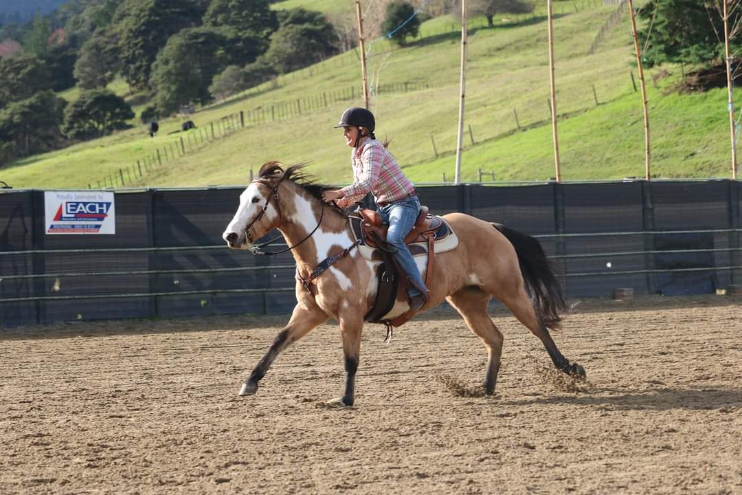 You are currently viewing Hauraki riders roped in to western style