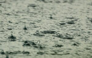 Read more about the article Heavy rain for Coromandel today