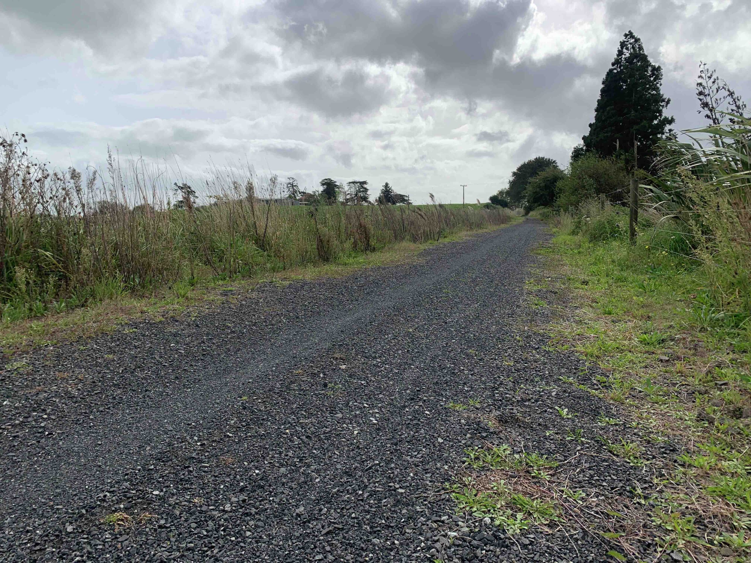 You are currently viewing Further $520k for Hauraki Rail Trail