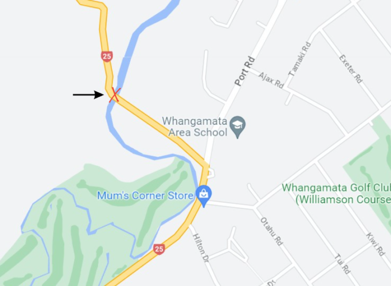 Read more about the article Closures on Moana Anu Anu bridge