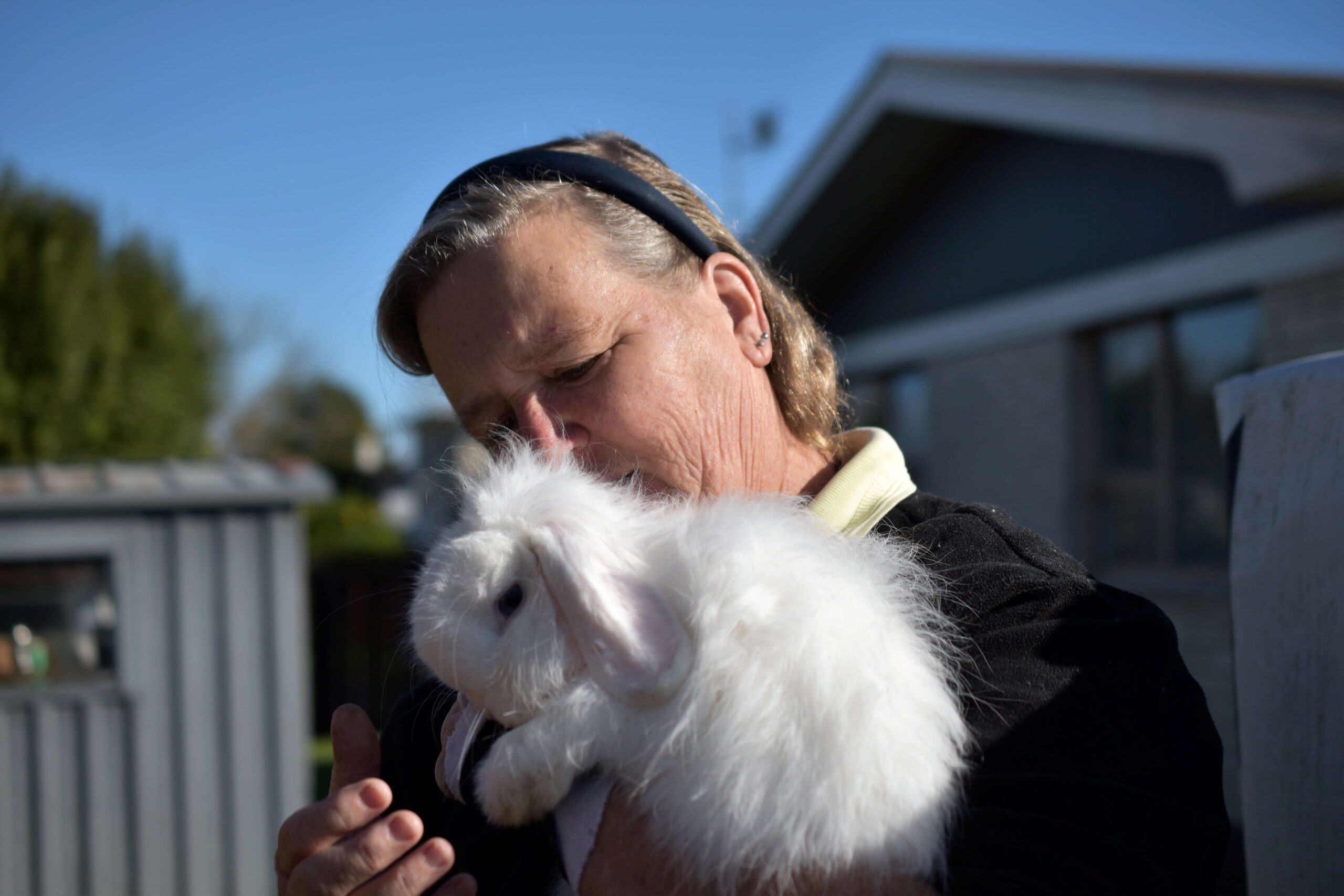 You are currently viewing Paeroa rabbit show sure to breed delight