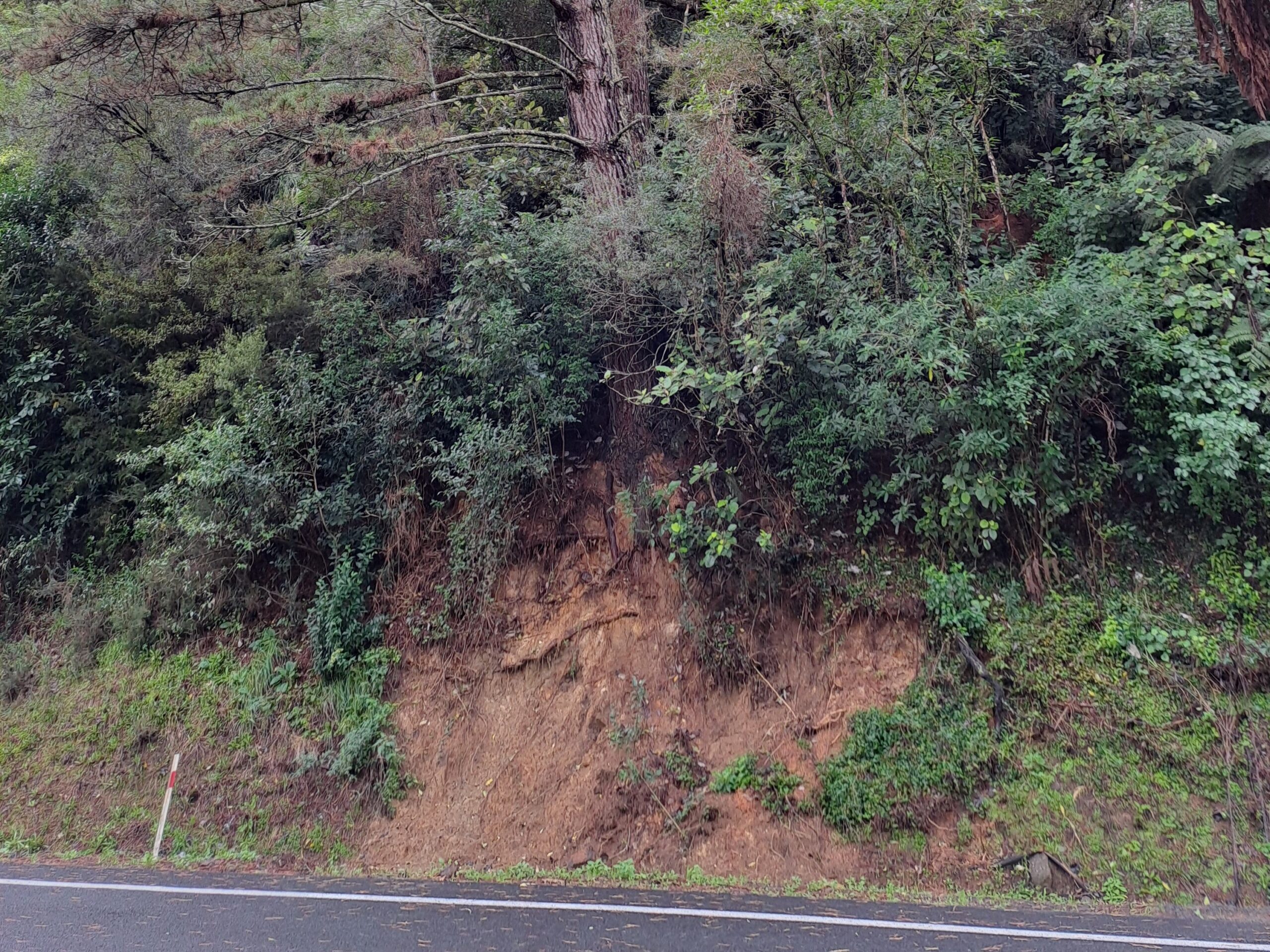 You are currently viewing Karangahake Gorge to close for slip clearing