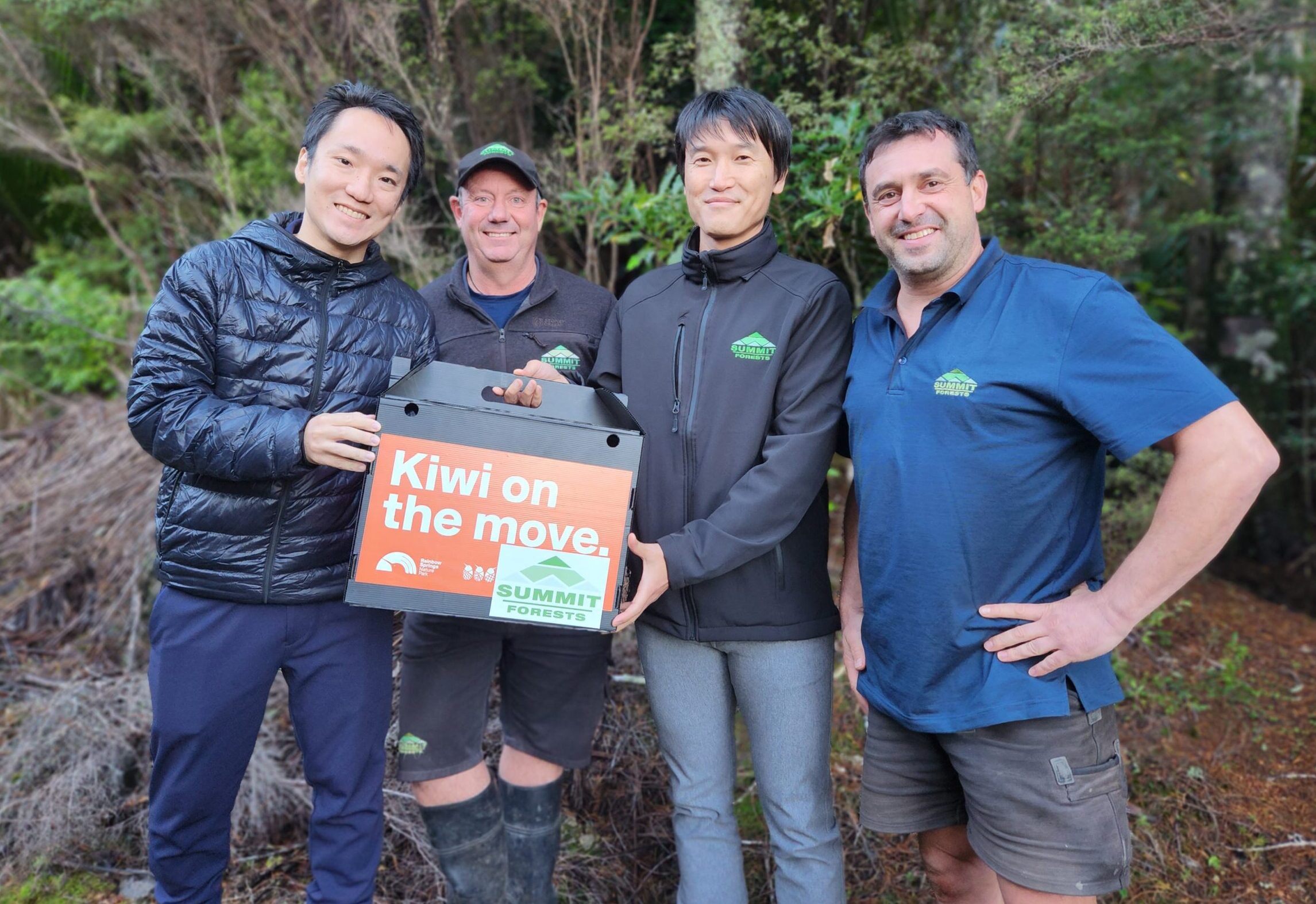 You are currently viewing Hundredth kiwi released in Whangapoua Forest