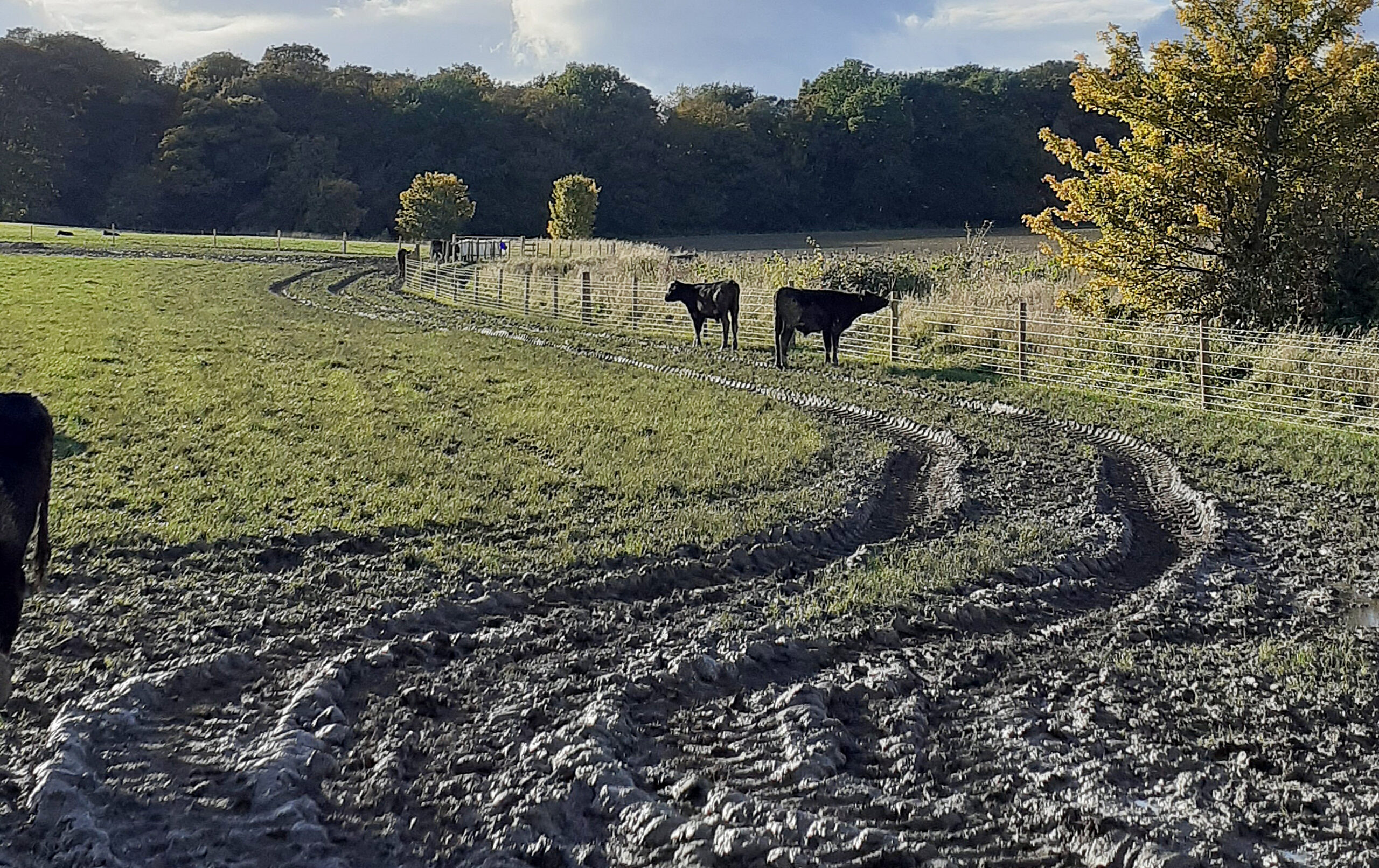 You are currently viewing Waikato catchments ‘vulnerable’ – WRC