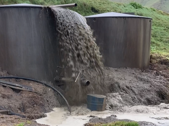 Read more about the article <strong>Piggery effluent polluting stream near Te Aroha</strong>