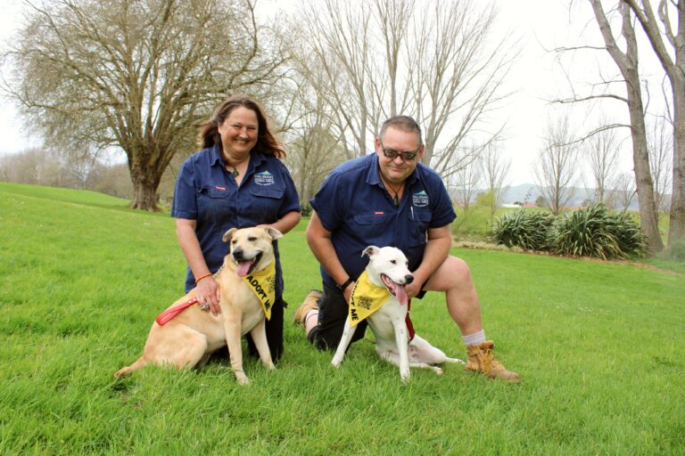 Read more about the article Husband and wife save Hauraki dogs