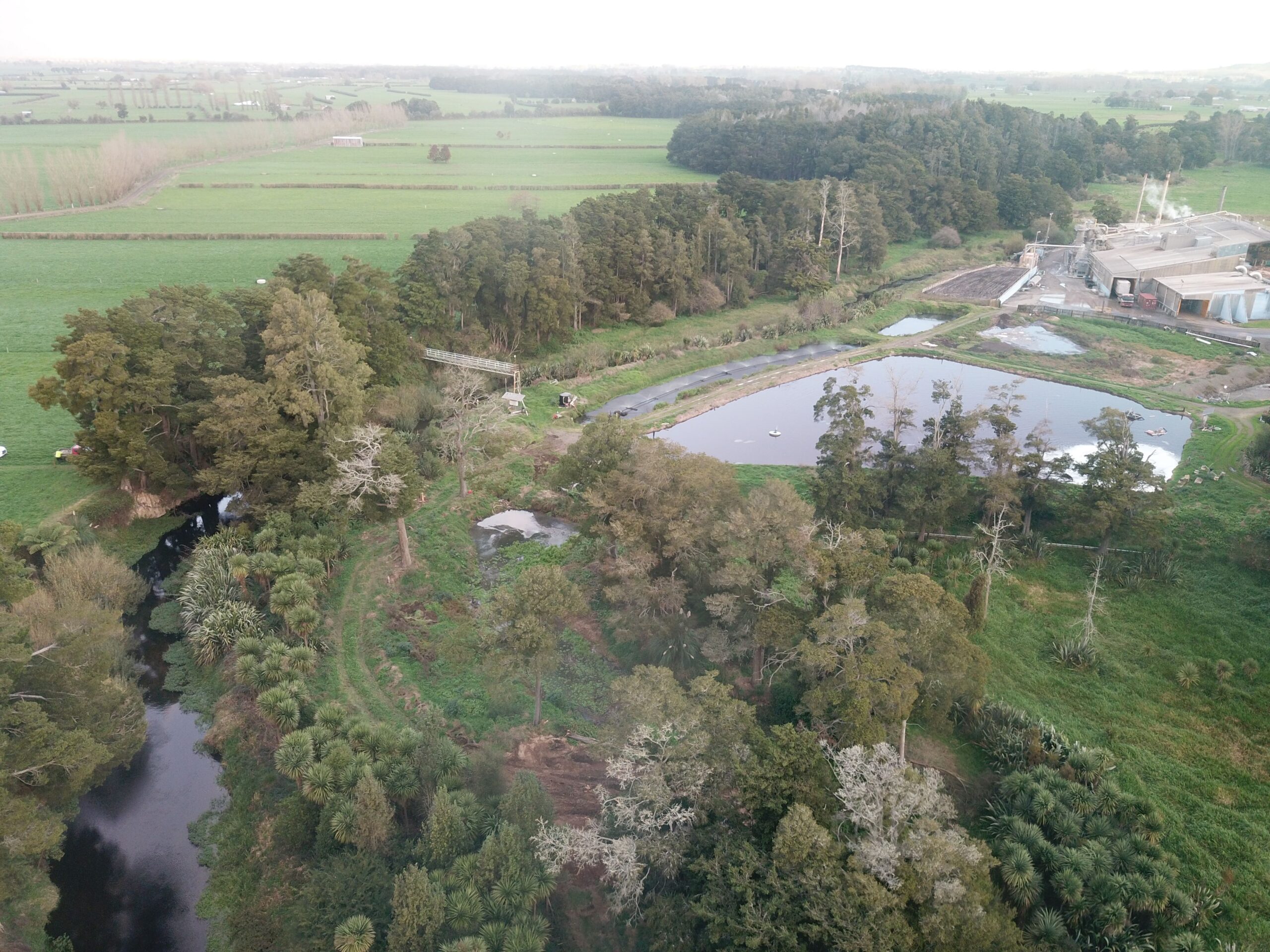 You are currently viewing Processing company fined $102k for Waitoa River pollution