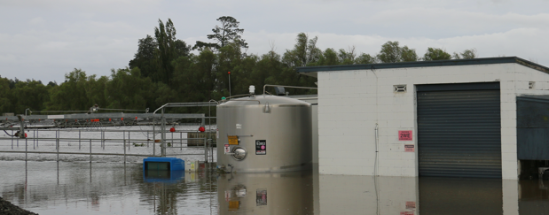 You are currently viewing New vet fund to support weather-affected farms