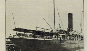 Read more about the article ‘Mystery man’ dies at Royal Hotel after travels