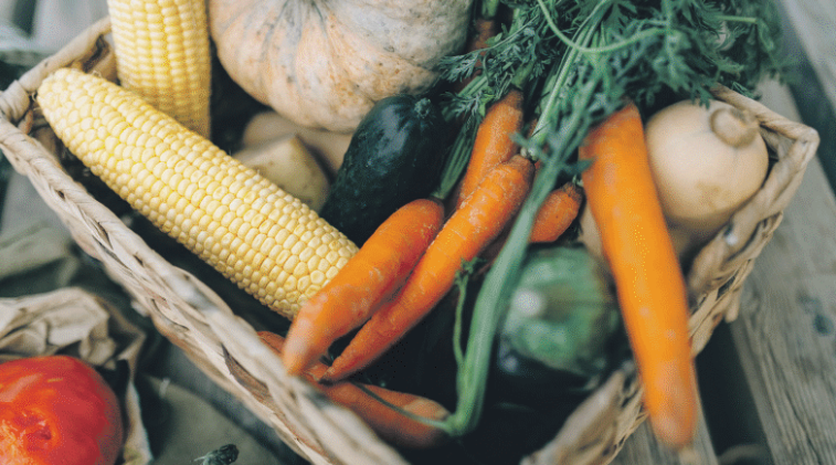 You are currently viewing Harvest time in hottest month of the year