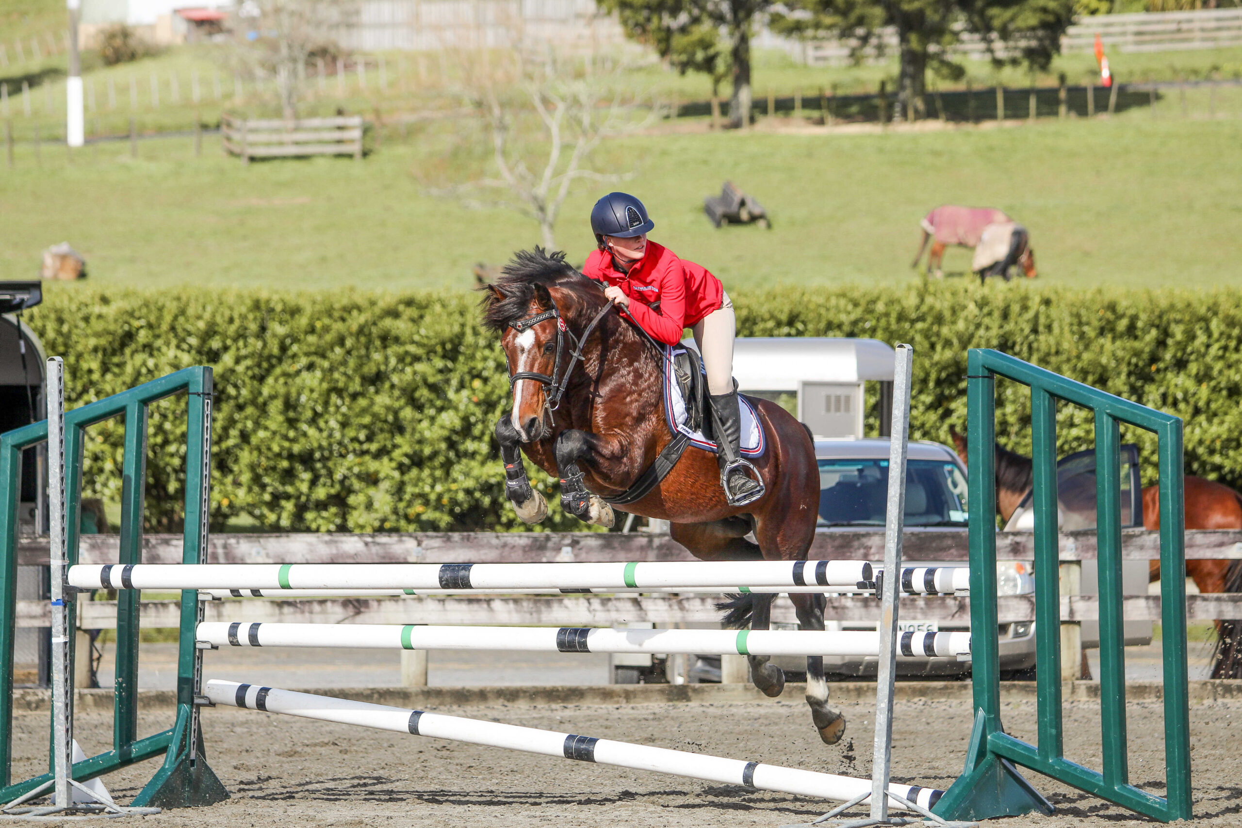 You are currently viewing Sky’s the limit for Hauraki showjumper