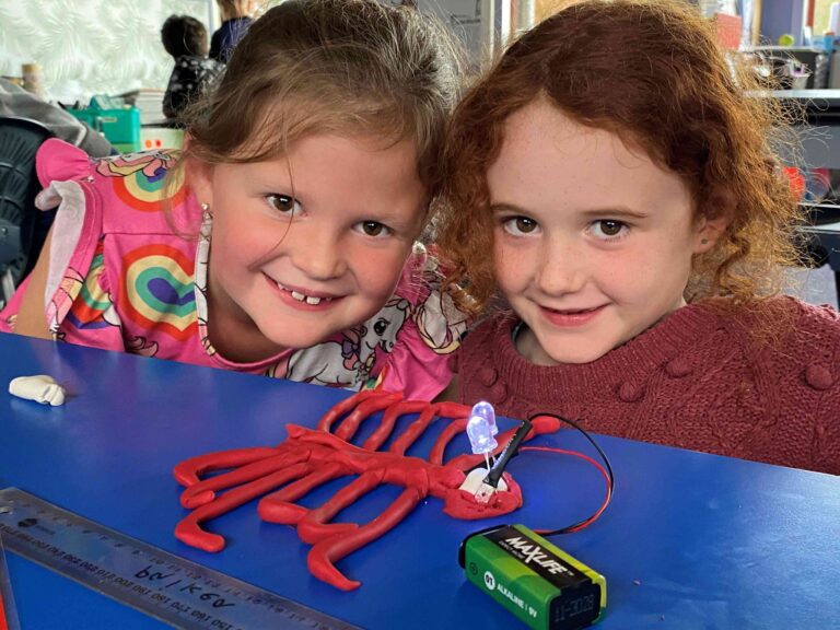 Read more about the article Helping hands needed for House of Science