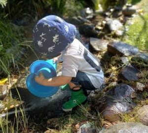 Read more about the article Pukekos: ‘home away from home’ for young learners