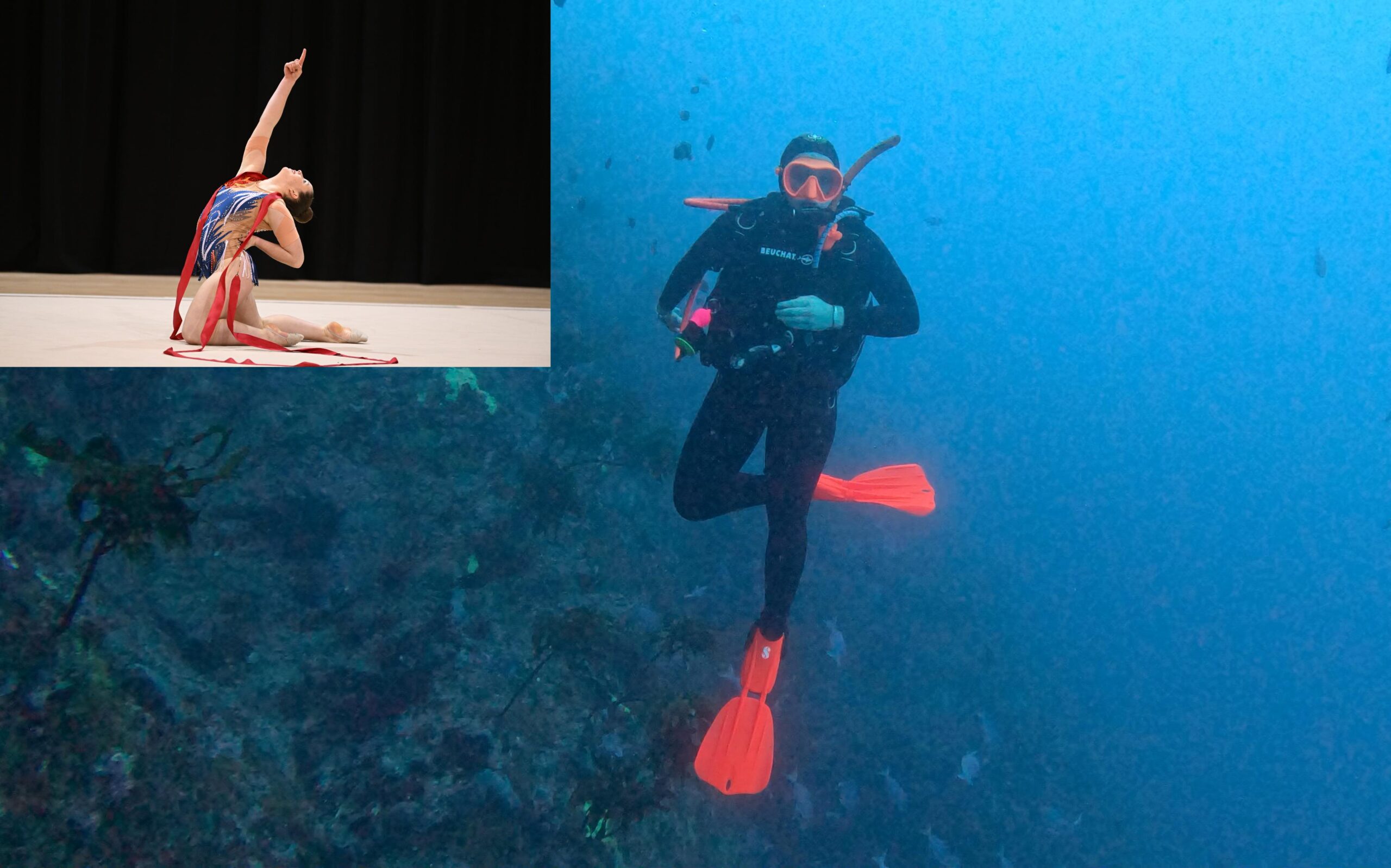 You are currently viewing From seafloor to gym floor: gymnast resurfaces for comeback