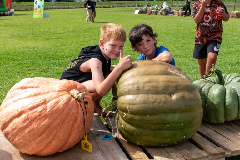 Read more about the article Gourdness gracious