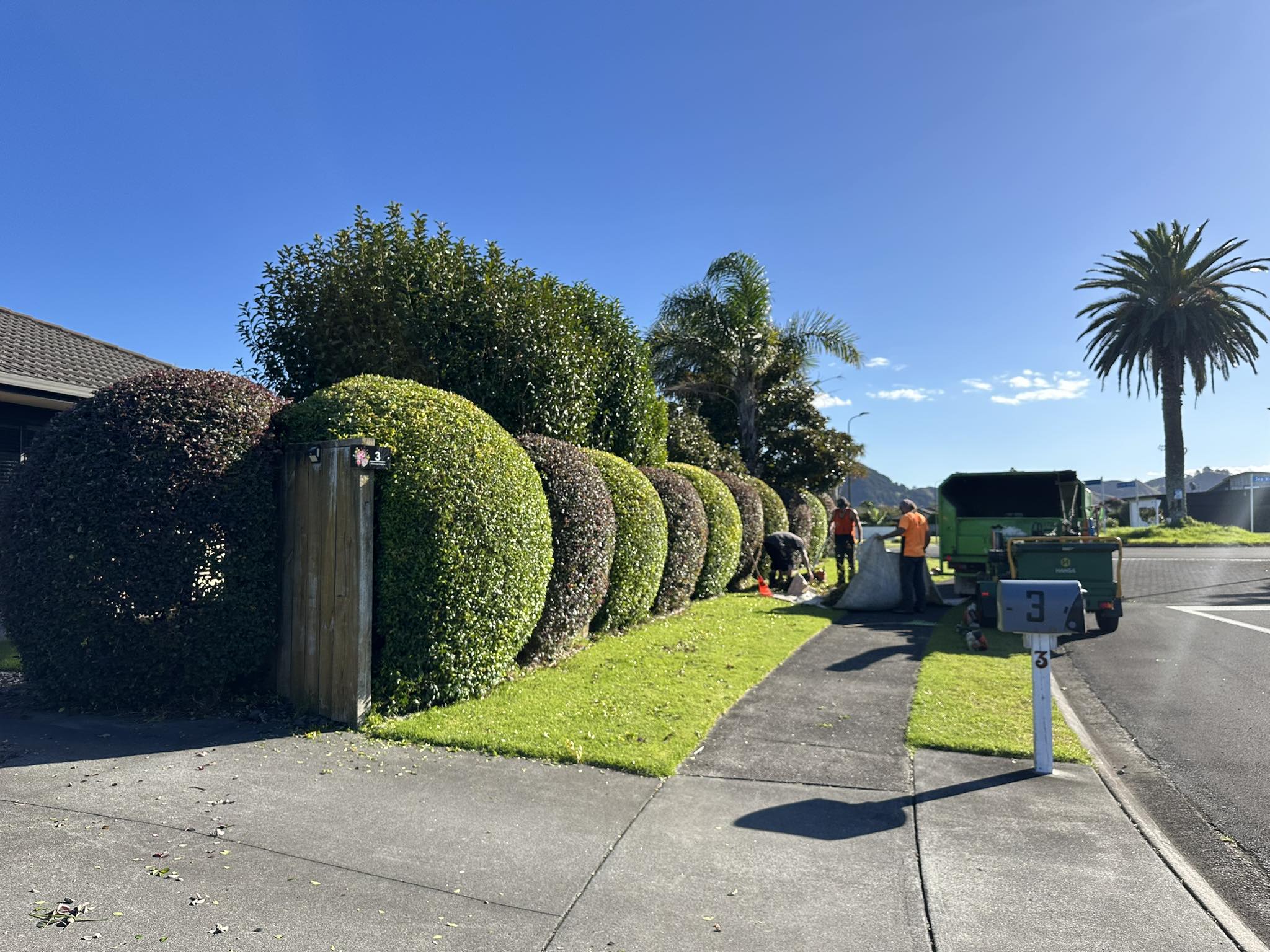 You are currently viewing No job is too big or small for Tree Shapes