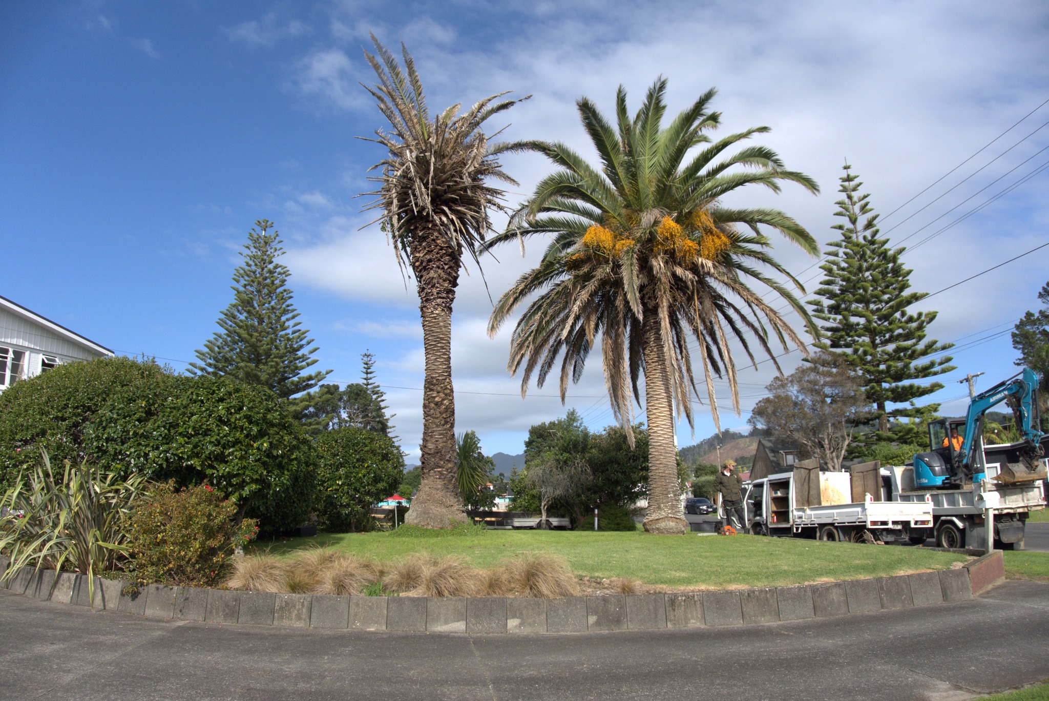 You are currently viewing Tree Tops: ‘the best for your trees’