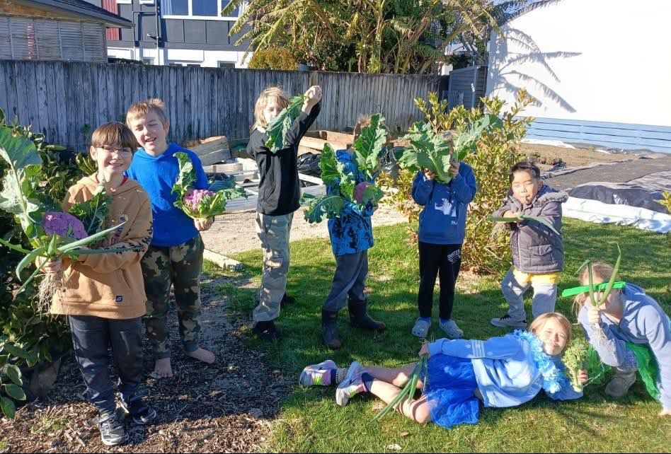 You are currently viewing Students seek votes for garden upgrade