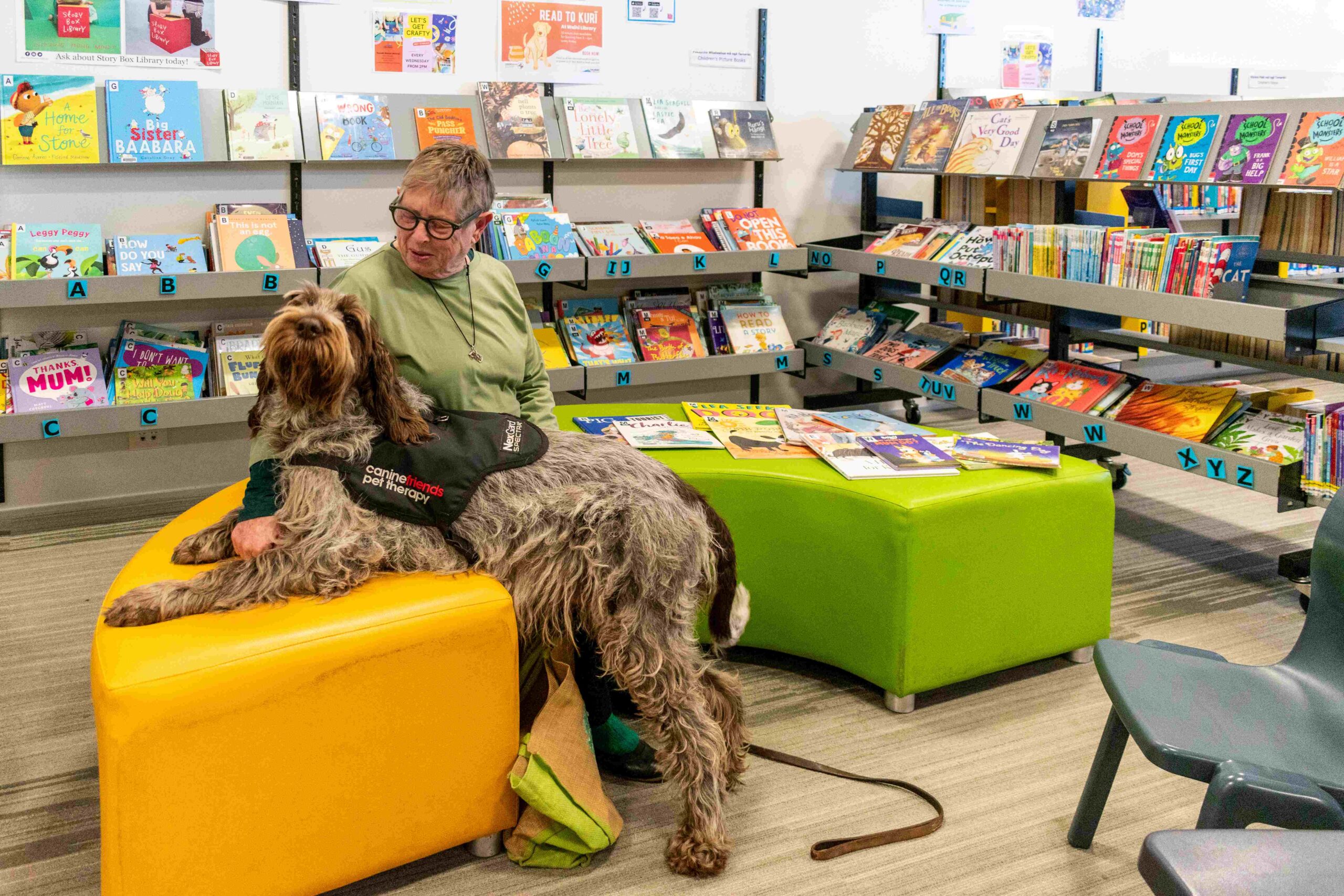You are currently viewing Library listener lends a paw