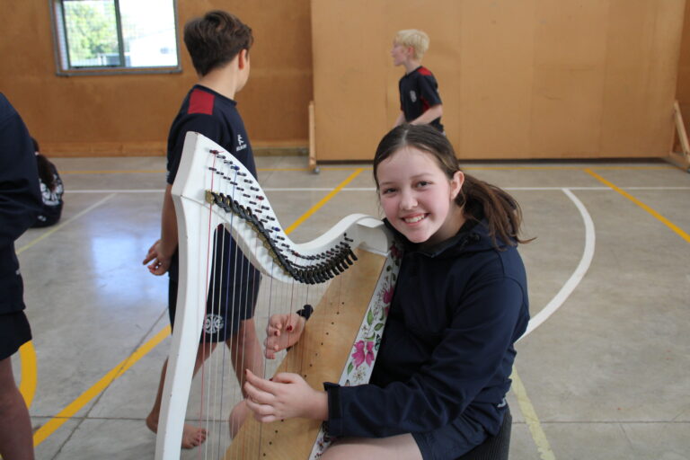 Read more about the article Harp haven