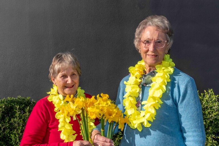 Read more about the article Yellow blooms to feature in fundraiser
