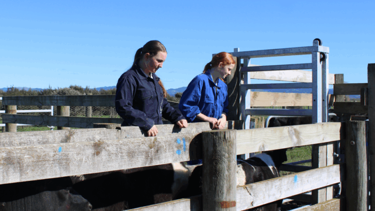 Read more about the article Hayward Farm: lessons in the field
