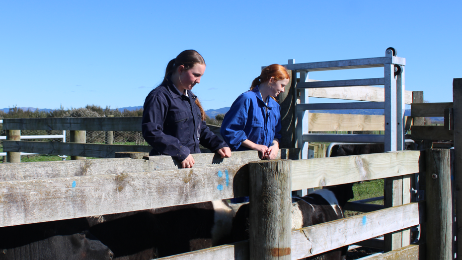 You are currently viewing Hayward Farm: lessons in the field