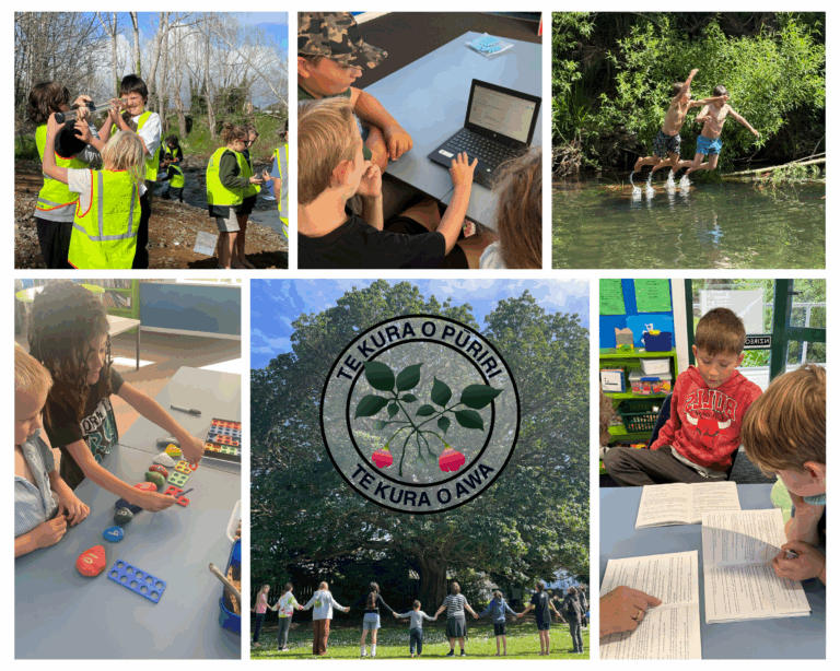 Read more about the article The quiet strength of a small school