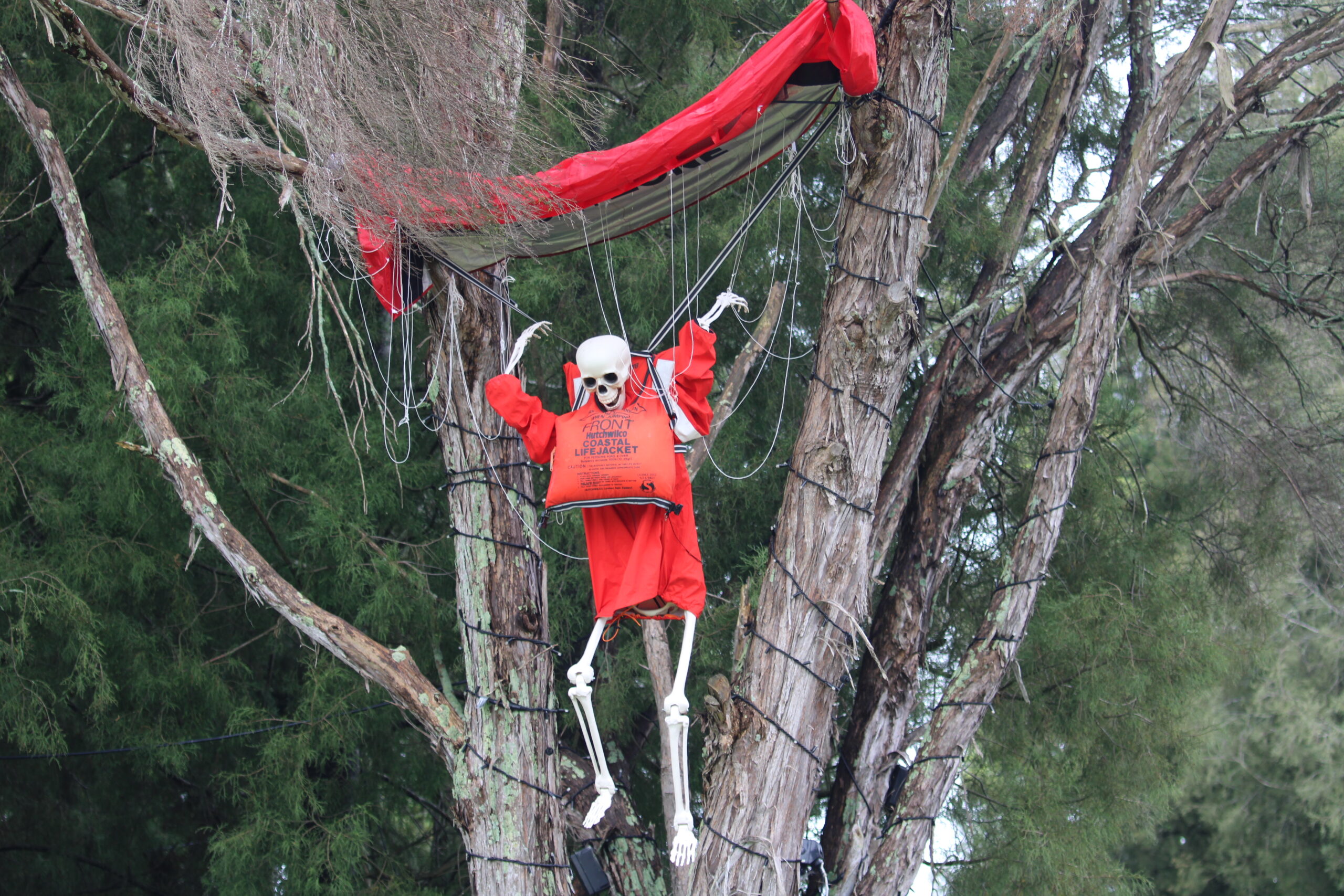 You are currently viewing Maritime Park to host ‘friendly-spooky’ nights