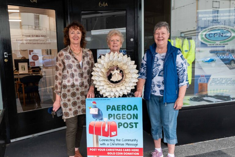 Read more about the article Paeroa pigeons ready to fly again