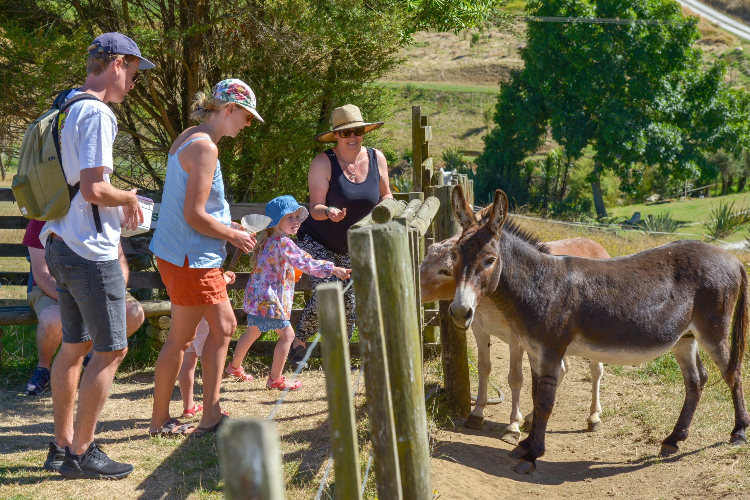 You are currently viewing Iconic farm a must-see
