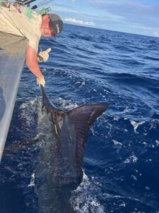 Read more about the article Hooking the big one