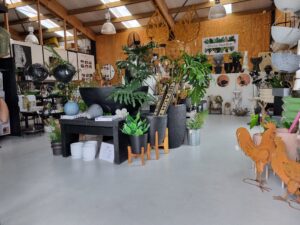 Read more about the article Discover Oasis Garden